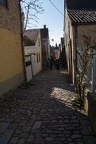 IMG 8045